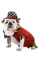 Dawg Pimp Costume Red Small